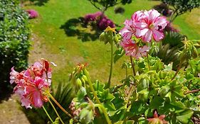 Il Giardino Degli Aranci Casa De Hóspedes